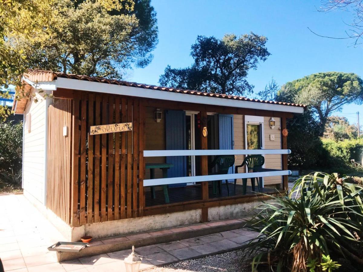 A Au Calme Sous Les Pins Chalet