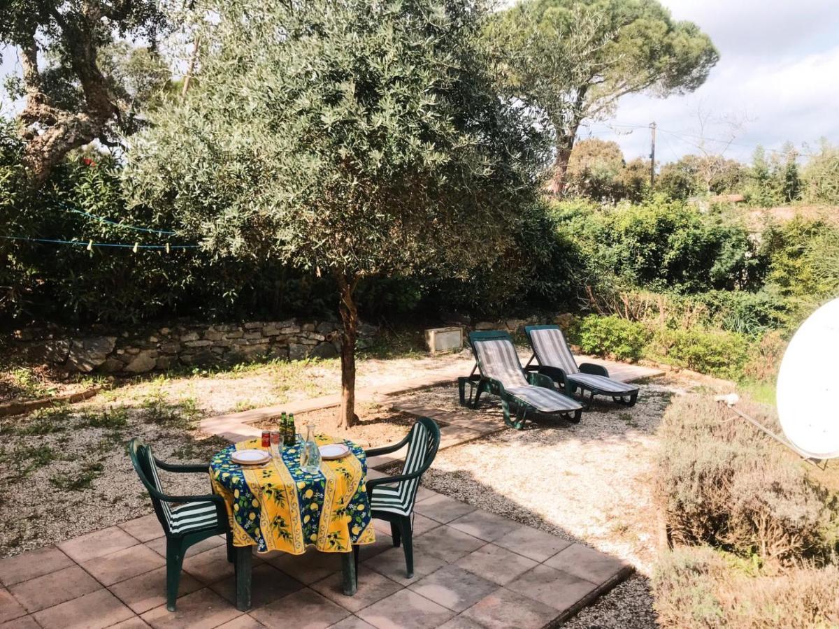 A Au Calme Sous Les Pins Chalet Gassin