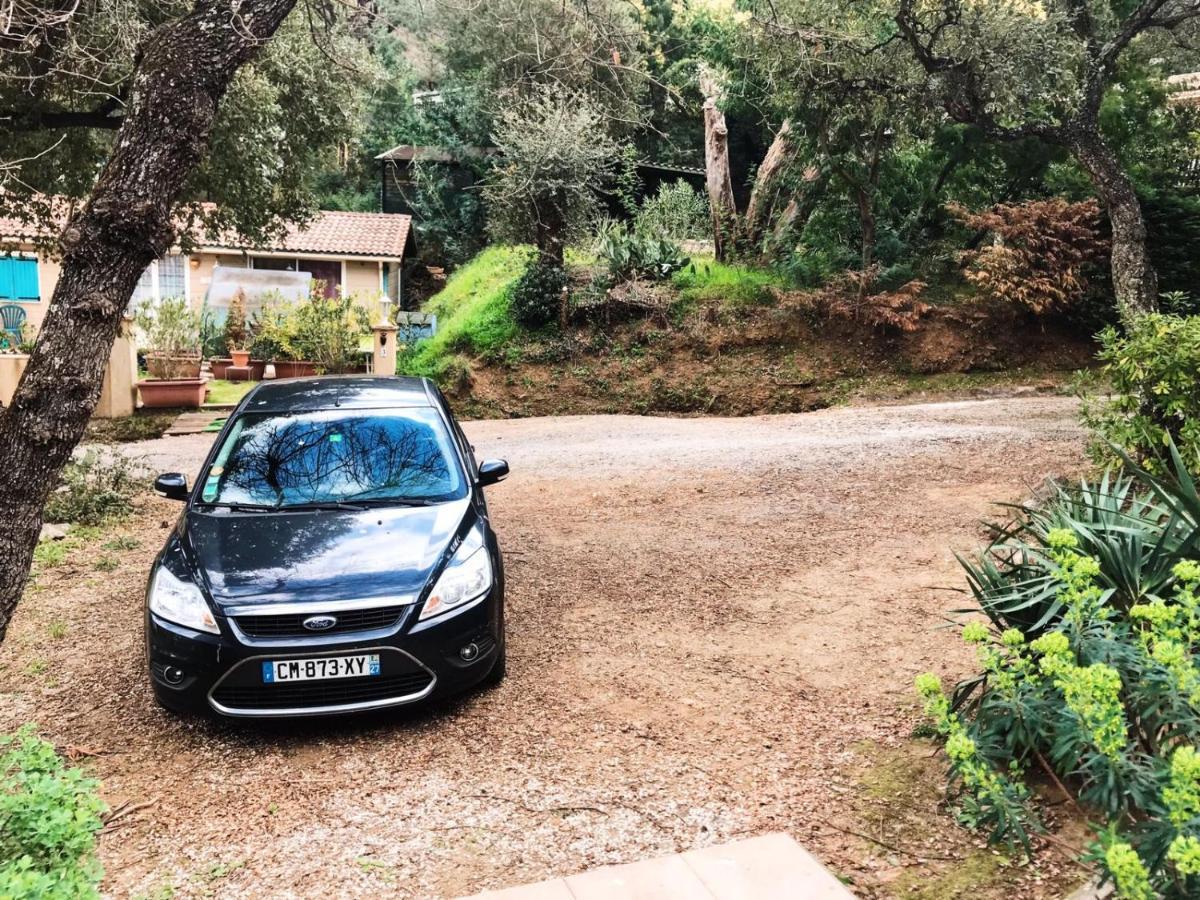 Chalet A Au Calme Sous Les Pins